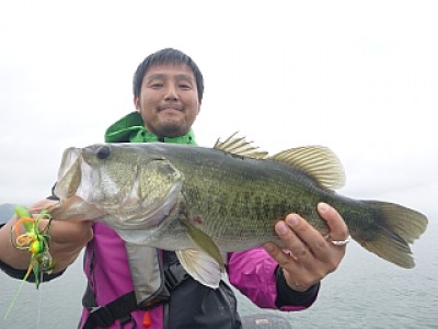 truth news ブログ写真 2013/09/03