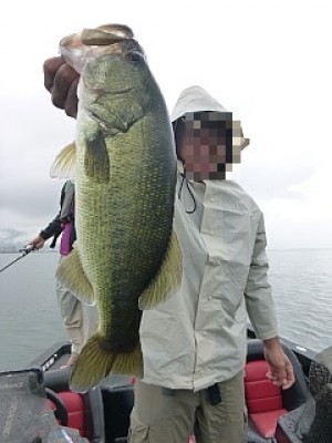 truth news ブログ写真 2013/09/03