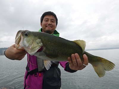 truth news ブログ写真 2013/09/03