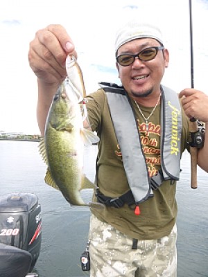 truth news ブログ写真 2013/09/04