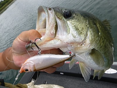 truth news ブログ写真 2013/09/04