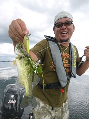 truth news ブログ写真 2013/09/04