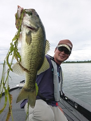 truth news ブログ写真 2013/09/04