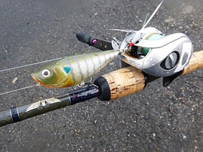 truth news ブログ写真 2013/09/05