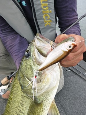 truth news ブログ写真 2013/09/05