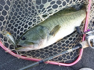 truth news ブログ写真 2013/09/05