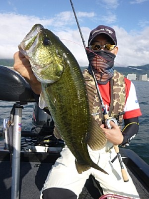 truth news ブログ写真 2013/09/05