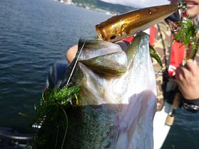 truth news ブログ写真 2013/09/05