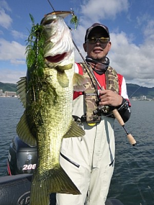 truth news ブログ写真 2013/09/05