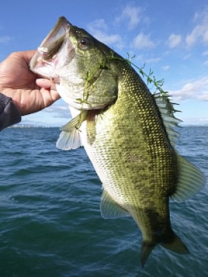 truth news ブログ写真 2013/09/05