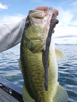 truth news ブログ写真 2013/09/07