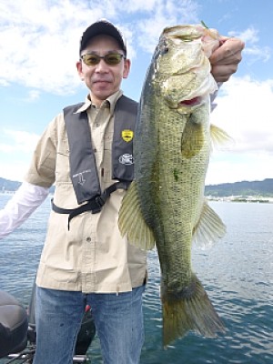 truth news ブログ写真 2013/09/07