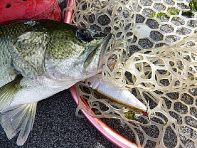 truth news ブログ写真 2013/09/07