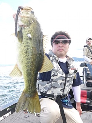 truth news ブログ写真 2013/09/07