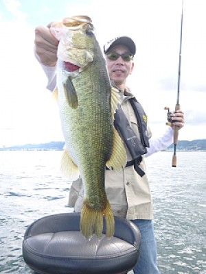 truth news ブログ写真 2013/09/07