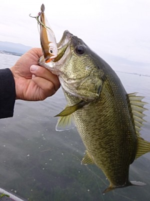 truth news ブログ写真 2013/09/08