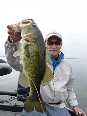 truth news ブログ写真 2013/09/08