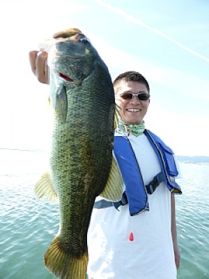 truth news ブログ写真 2013/09/10