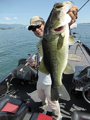 truth news ブログ写真 2013/09/10