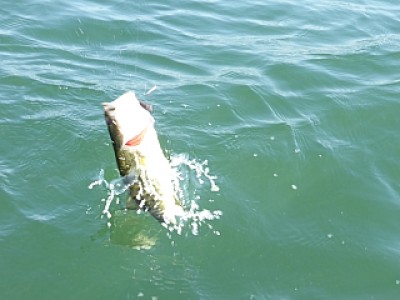 truth news ブログ写真 2013/09/10