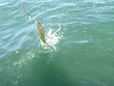 truth news ブログ写真 2013/09/10