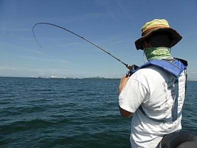 truth news ブログ写真 2013/09/10