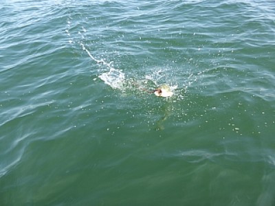 truth news ブログ写真 2013/09/10