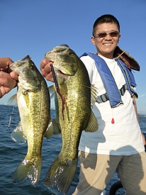 truth news ブログ写真 2013/09/10