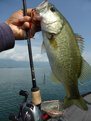 truth news ブログ写真 2013/09/12