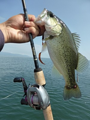 truth news ブログ写真 2013/09/12