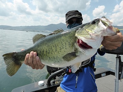 truth news ブログ写真 2013/09/12