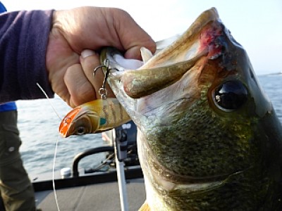 truth news ブログ写真 2013/09/12