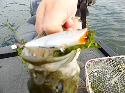 truth news ブログ写真 2013/09/13