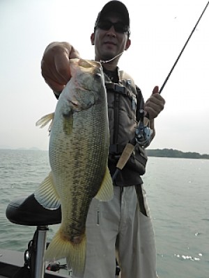 truth news ブログ写真 2013/09/13