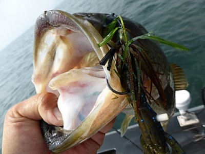 truth news ブログ写真 2013/09/13