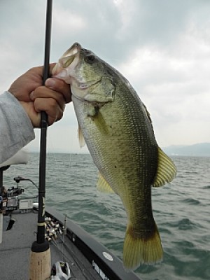 truth news ブログ写真 2013/09/13