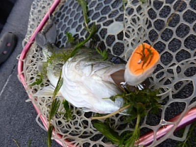 truth news ブログ写真 2013/09/13