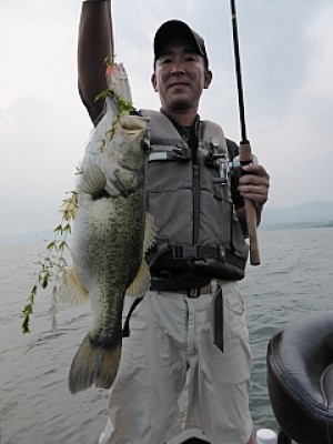 truth news ブログ写真 2013/09/13