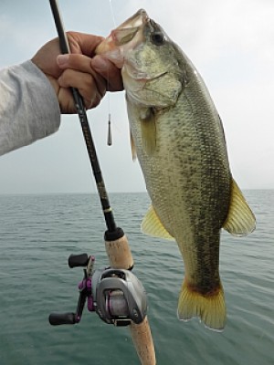 truth news ブログ写真 2013/09/13