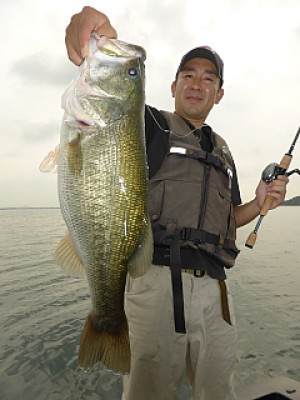 truth news ブログ写真 2013/09/13