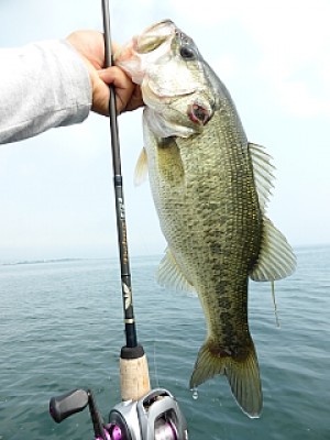 truth news ブログ写真 2013/09/13