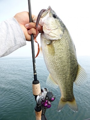 truth news ブログ写真 2013/09/13