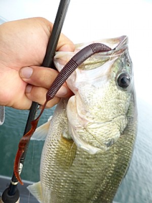 truth news ブログ写真 2013/09/13