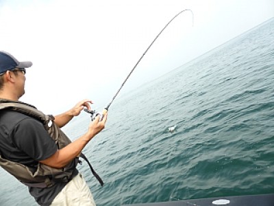 truth news ブログ写真 2013/09/13