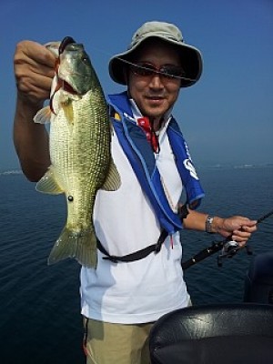 truth news ブログ写真 2013/09/13