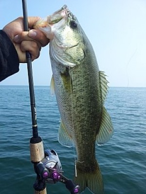 truth news ブログ写真 2013/09/13