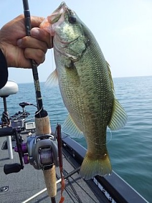 truth news ブログ写真 2013/09/13