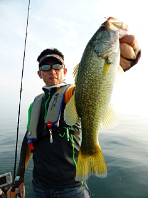 truth news ブログ写真 2013/09/15