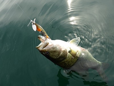 truth news ブログ写真 2013/09/15