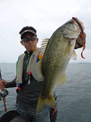 truth news ブログ写真 2013/09/15